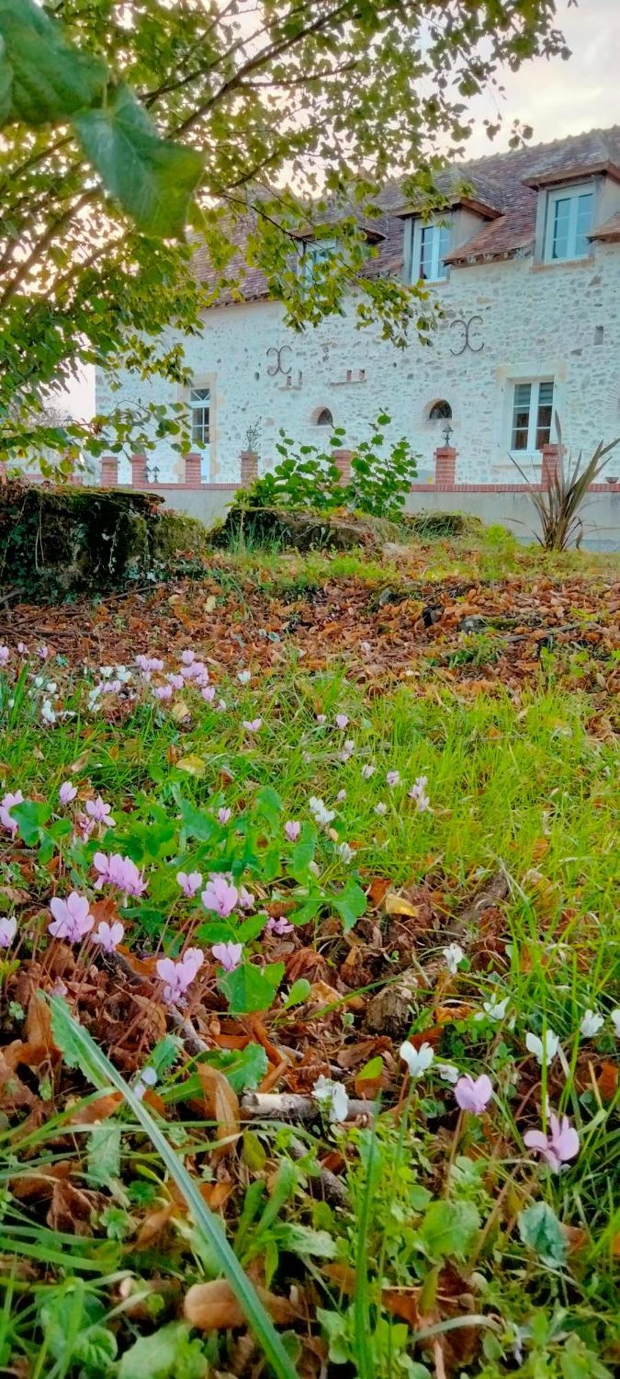 Gite & Chambre D'Hotes Du Moulin Vila Brûlon Exterior foto